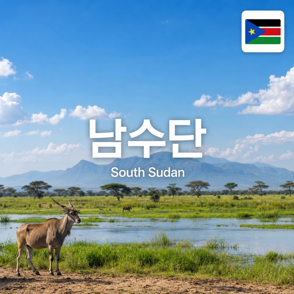 남수단